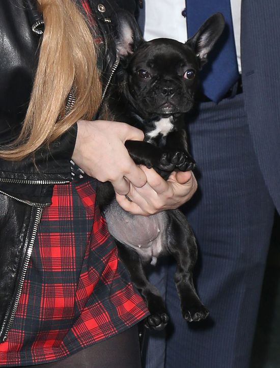 Kontrowersyjna gwiazda kupiła sobie pieska (FOTO)