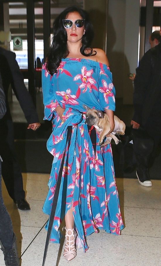 Piesek zamiast torebki? (FOTO) Piesek zamiast torebki? (FOTO)