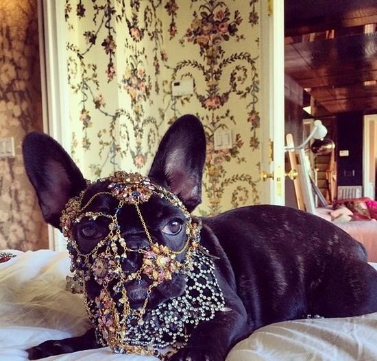 Z gołą pupą na pizzę (FOTO) Z gołą pupą na pizzę (FOTO)