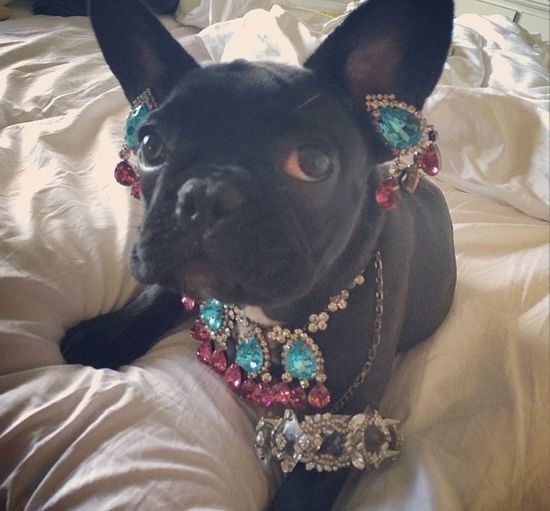 Z gołą pupą na pizzę (FOTO) Z gołą pupą na pizzę (FOTO)