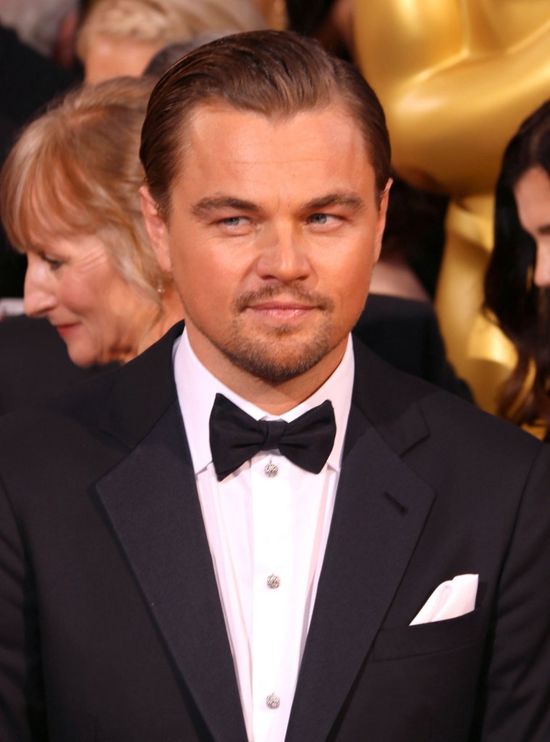 Leonardo DiCaprio ponownie do wzięcia