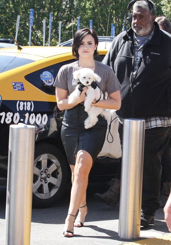 Demi Lovato w żałobie Demi Lovato w żałobie