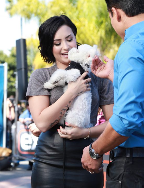 Demi Lovato w żałobie Demi Lovato w żałobie