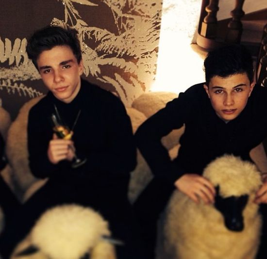 Madonna pije z 13-letnim synem! (FOTO)