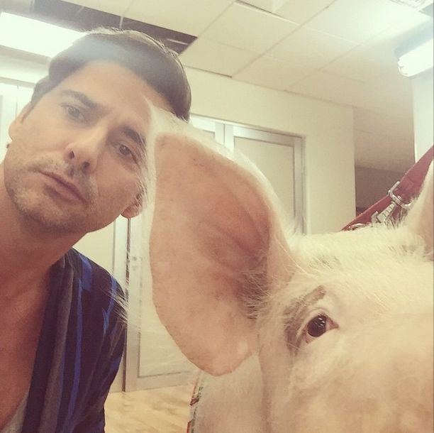 Tyszka o gwiazdach na polskich okładkach: Kuchty domowe