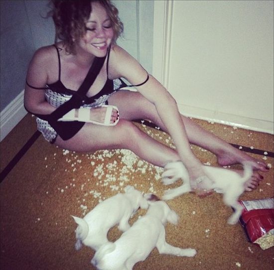 Mariah Carey wysłała swoje psy na kosmiczne wakacje