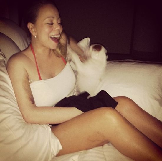 Mariah Carey wysłała swoje psy na kosmiczne wakacje