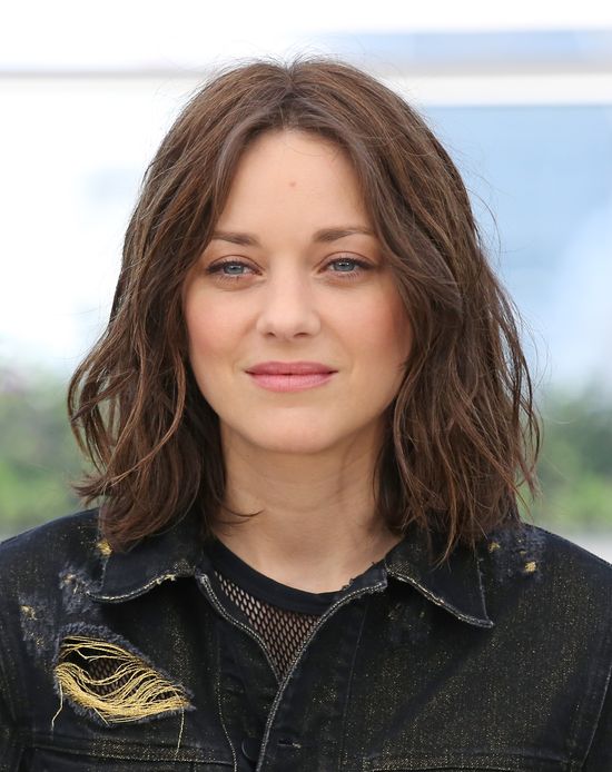 Marion Cottilard ujawnia prawdę - jest w ciąży. Kto jest ojcem?