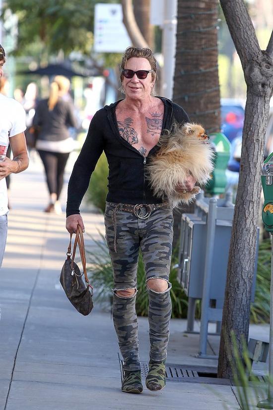 Nie, to nie kobieta paraduje po ulicy z pieskiem pod pachą i torebką (FOTO)