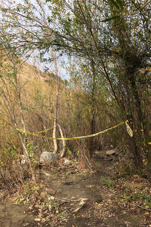 Drastyczne zdjęcie Sallinga kilka godzin przed samobójstwem!