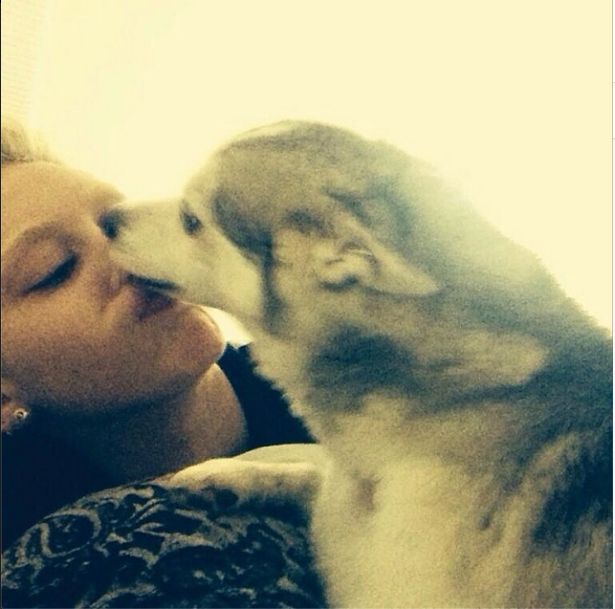 Miley Cyrus się oszpeciła! (FOTO)