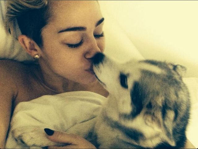 Miley Cyrus szuka chłopaka w nietypowy sposób? (FOTO)