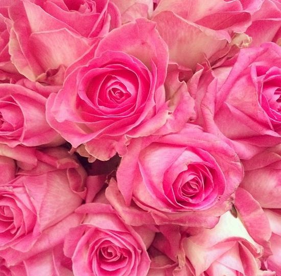 Od kogo Miranda Kerr dostała takie piękne kwiaty? 