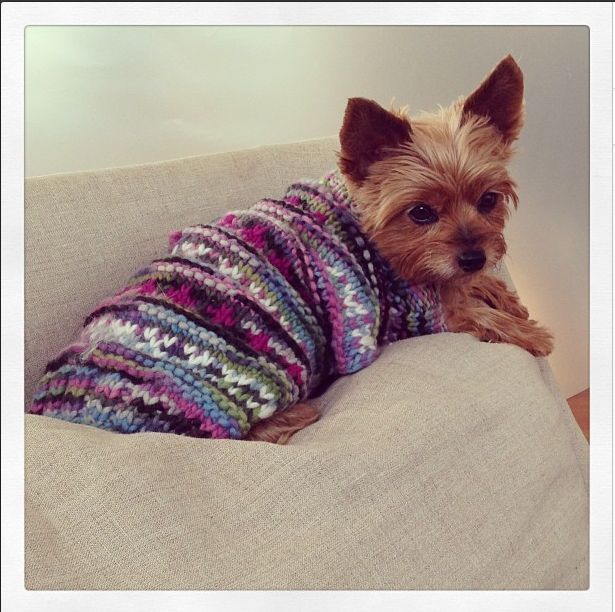 Jak Miranda Kerr pociesza się po rozstaniu? (FOTO) Jak Miranda Kerr pociesza się po rozstaniu? (FOTO)