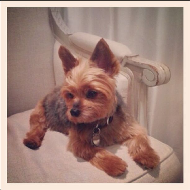 Jak Miranda Kerr pociesza się po rozstaniu? (FOTO)