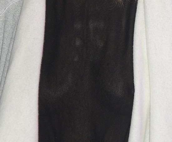 Ups - ta aktorka nie wiedziała, że bluzka prześwituje (FOTO)