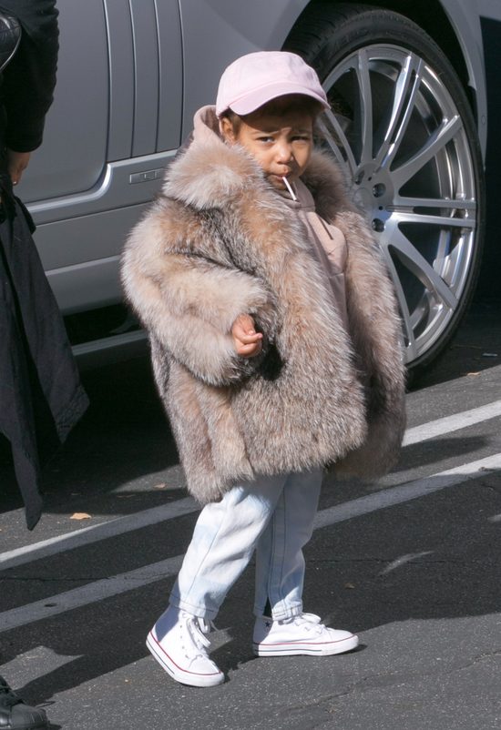 Nori na bogato, czyli mała dama w futrze (FOTO)