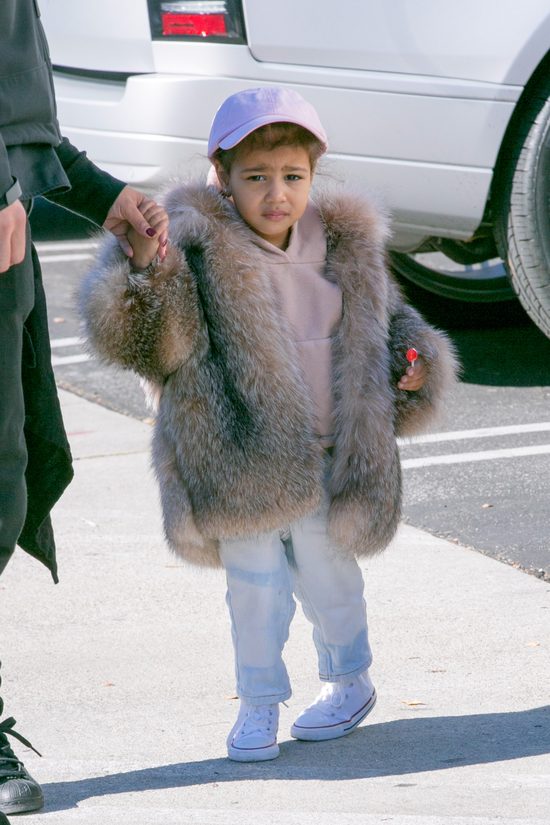 Nori na bogato, czyli mała dama w futrze (FOTO)