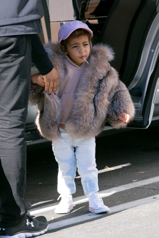 Nori na bogato, czyli mała dama w futrze (FOTO)