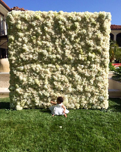 Nori West ma już roczek (FOTO) Nori West ma już roczek (FOTO)