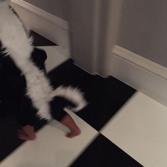 North West przebrana za małego skunksa! (FOTO)