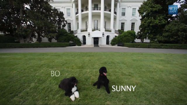 Nowy mieszkaniec w Białym Domu (VIDEO)
