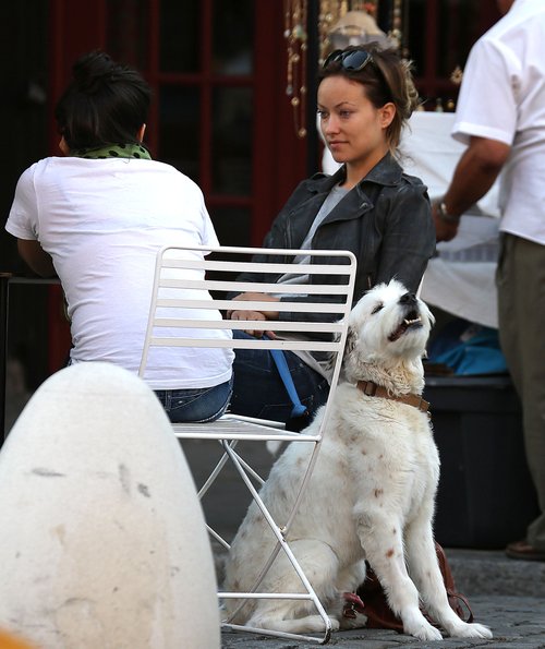 Olivia Wilde na kawie z przyjaciółką (FOTO)