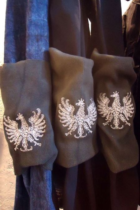 Saramonowicz broni orła jako motywu popkultury