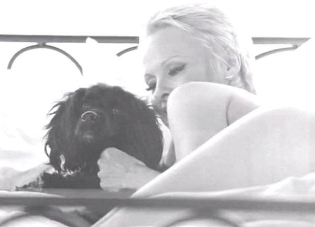 Pamela Anderson jak za starych dobrych czasów (VIDEO)