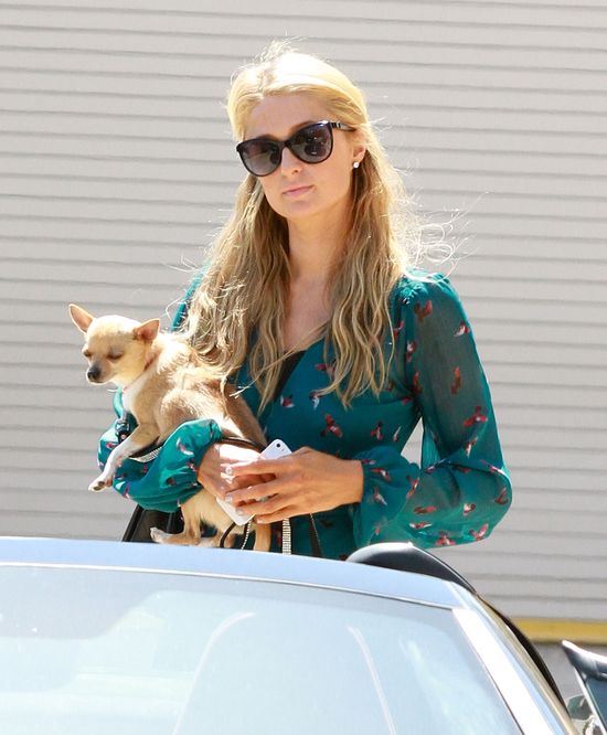 Celebrytka-milionerka kupiła nową furę (FOTO)