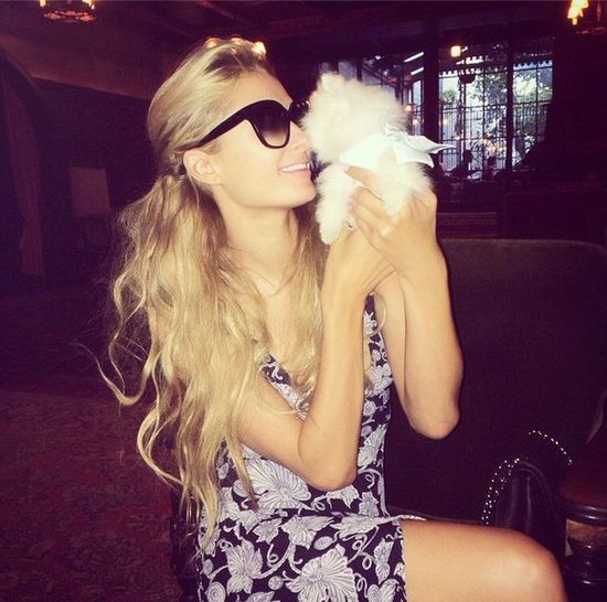 Najmniejszy pies na świecie trafił w ręce Paris Hilton (FOTO