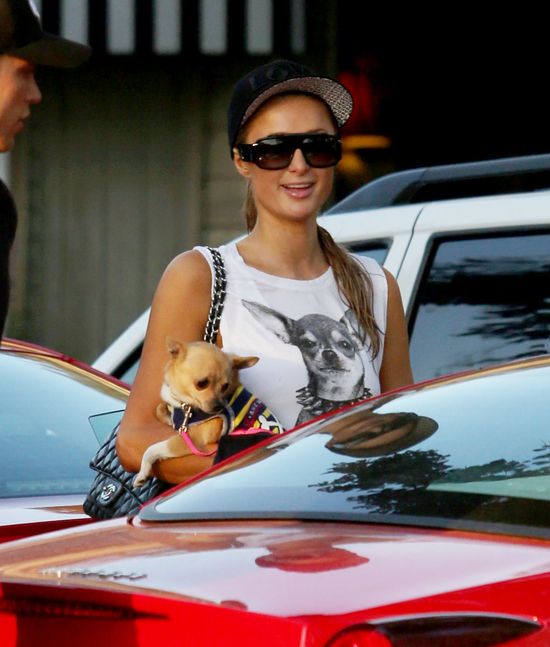 Oto one - gwiazdy jednej miny (FOTO) Oto one - gwiazdy jednej miny (FOTO)