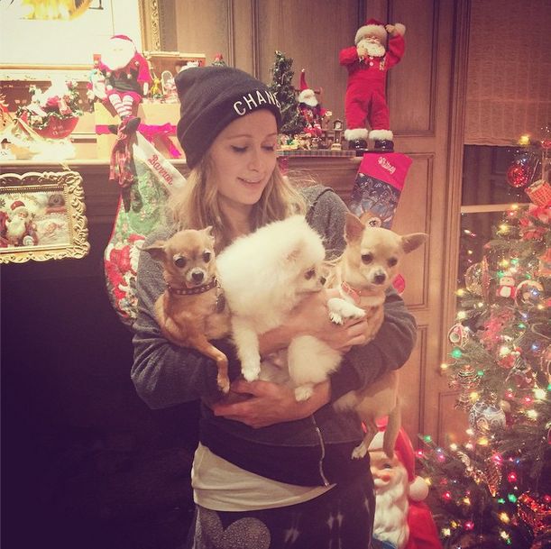 Nie zgadniecie, na kogo wyrosła (FOTO) Nie zgadniecie, na kogo wyrosła (FOTO)