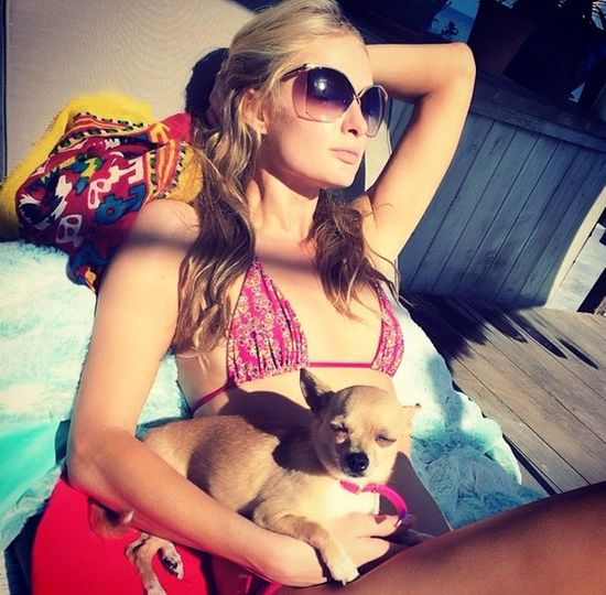 Paris Hilton zdradza, jak szybko zrzucić 3 kilogramy