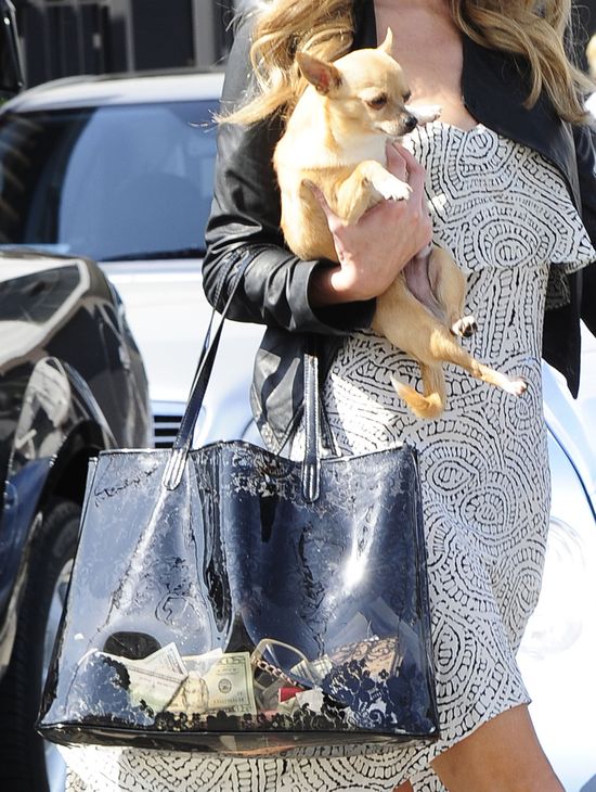 Tymczasem w torebce milionerki... (FOTO)