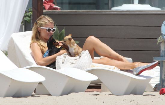 Psia mama Paris Hilton (FOTO)