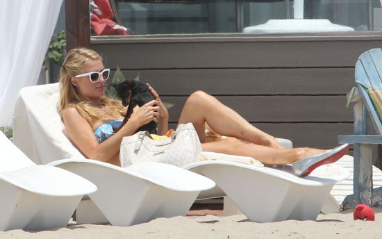 Psia mama Paris Hilton (FOTO)