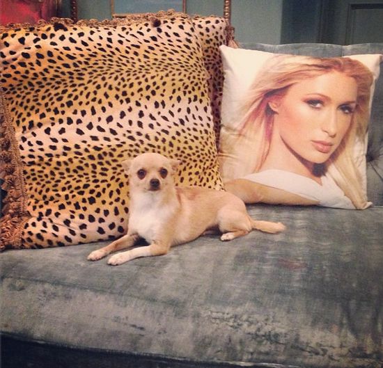 Paris Hilton dziecinnieje (FOTO)