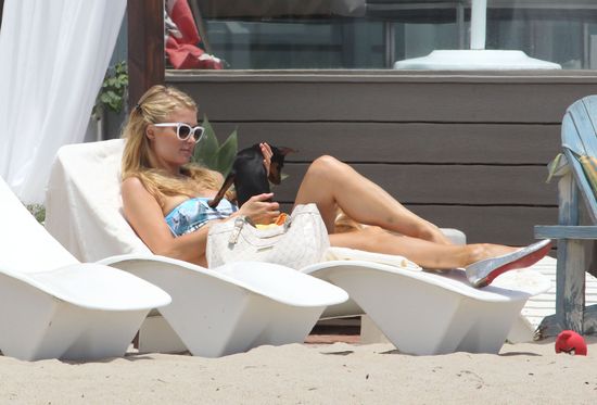 Psia mama Paris Hilton (FOTO)