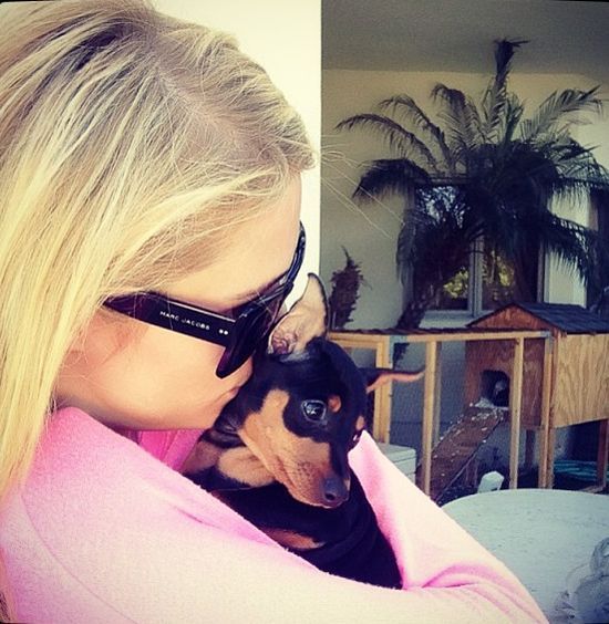 Paris Hilton od dzieci woli psy