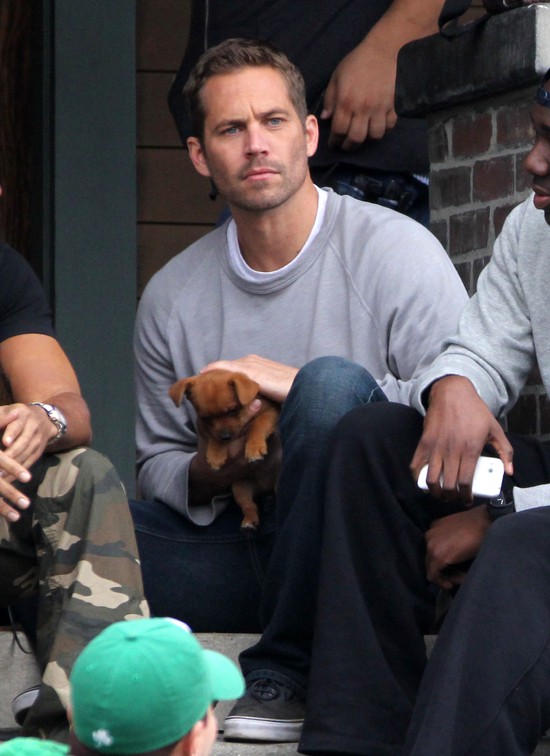 Brat Paula Walkera może go zastąpić w Fast & Furious 7