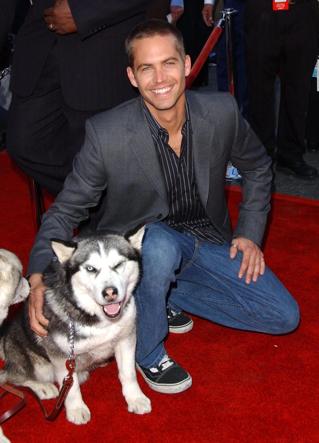 Przyjaciel Paula Walkera wyprowadził z garażu siedem aut