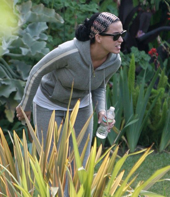 Russell Brand zraniony przez Katy Perry