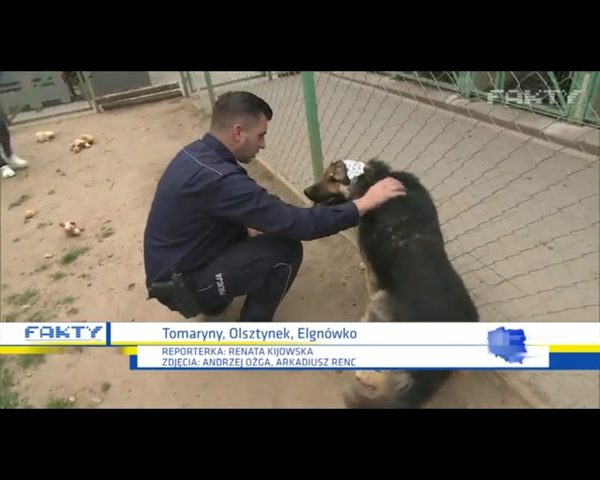 Bary - pies zakopany żywcem - znajdzie dom w domu policjanta Bary - pies zakopany żywcem - znajdzie dom w domu policjanta