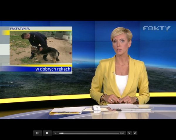 Bary - pies zakopany żywcem - znajdzie dom w domu policjanta Bary - pies zakopany żywcem - znajdzie dom w domu policjanta