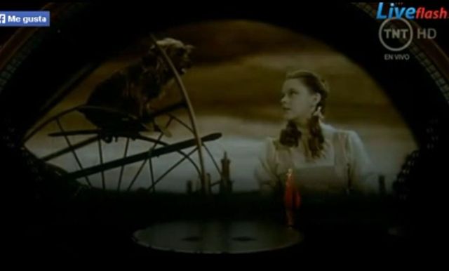 Pink powaliła na kolana swoim występem na Oscarach (VIDEO)