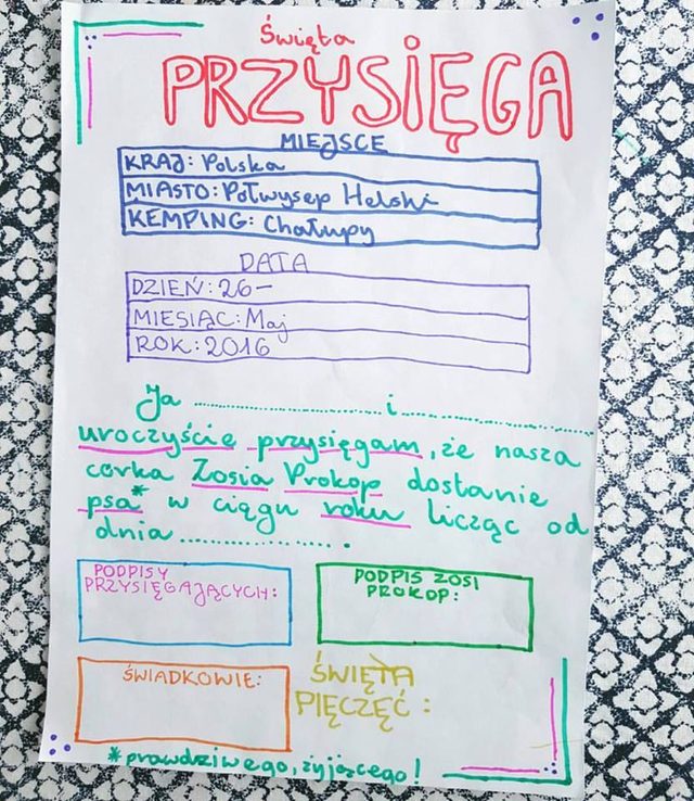 Nie przestaniecie się śmiać, gdy zobaczycie, co zrobiła córka Marcina Prokopa