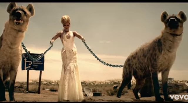 Rozenek z psami naśladuje Beyonce z hienami Rozenek z psami naśladuje Beyonce z hienami