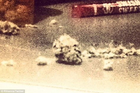 Rihanna znów popala marihuanę i dzieli się fotkami (FOTO)