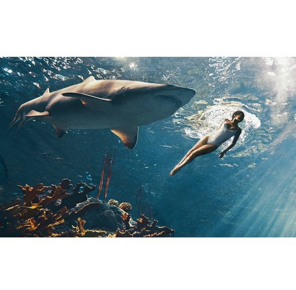 To nie retusz! Rihanna pływa z rekinem! (FOTO)